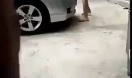 خواهرزاده به عکس کیرلای کس محض ورود عمه را لعنتی کرد